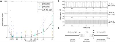 Electrophysiological model of human temporal contrast sensitivity based on SSVEP